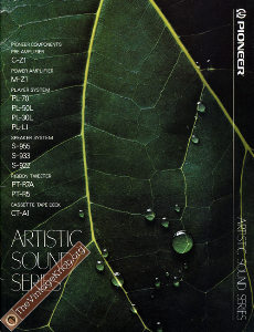 pioneer-jp-ARTISTIC-80'09